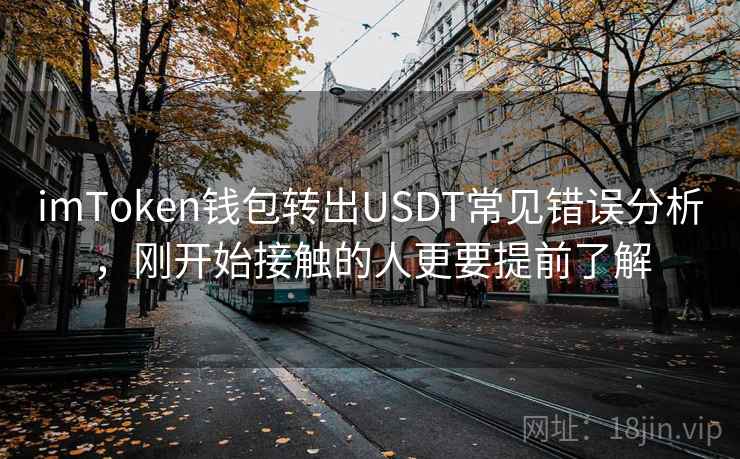 imToken钱包转出USDT常见错误分析，刚开始接触的人更要提前了解
